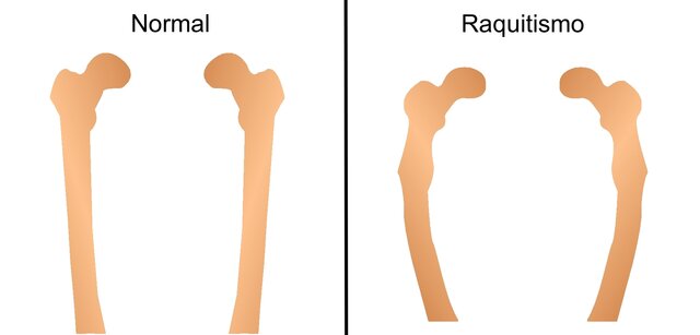 HUMANISMO EXÓTICO - HECHOS MÁS RELEVANTES