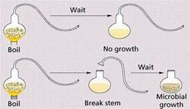 Louis Pasteur Experiment
