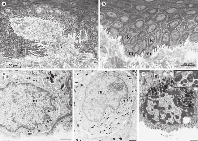 philosophical transactions of the royal society