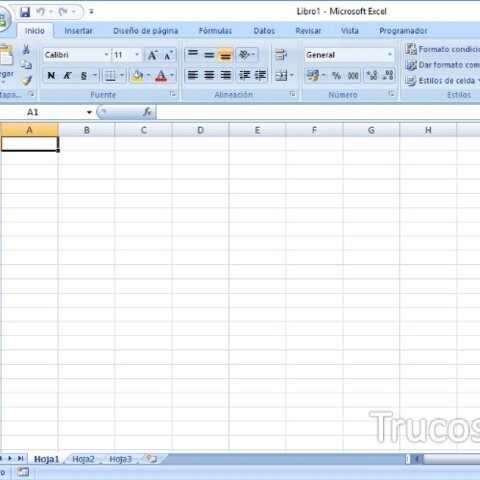 Excel 12.0