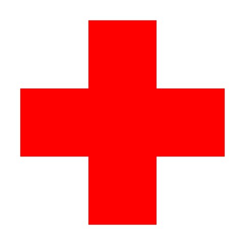 Fundación de la cruz roja internacional