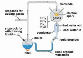 Miller and Urey Experiment