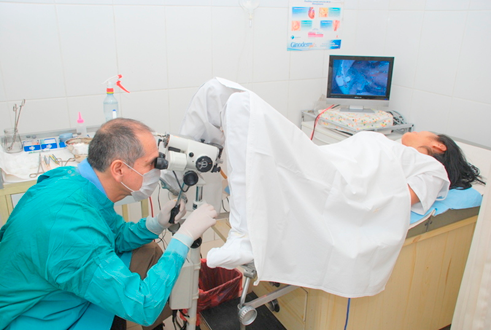 1er trimestre (semana 4-6)