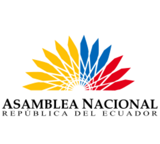 Ejecutivo vuelve a enviar proyecto