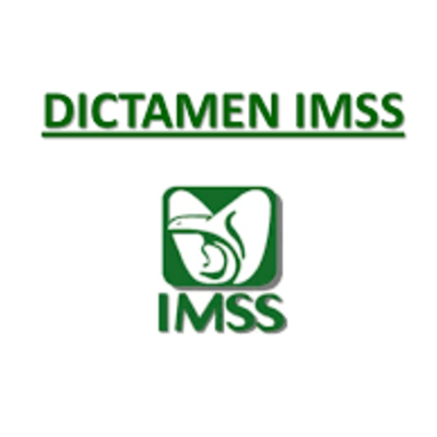 Timeline: Aviso y presentación de dictamen IMSS, Yulissa Martìnez