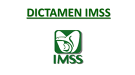 Timeline: Aviso y presentación de dictamen IMSS, Yulissa Martìnez