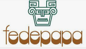 Búsqueda de producción sobre equidad.