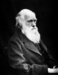 1809 – 1882 Charles Darwin Padre de la evolución