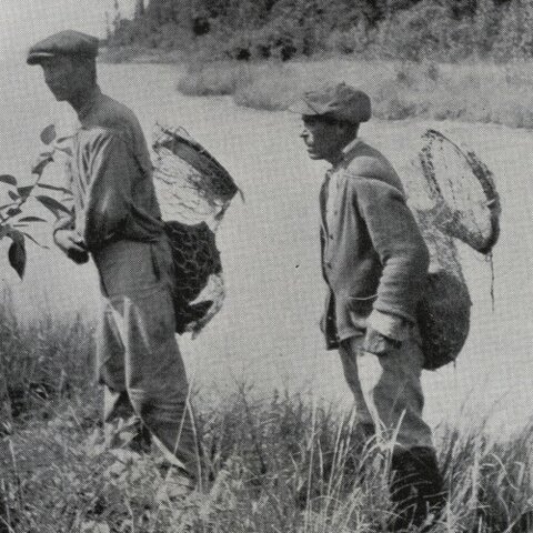 HBC establishes a beaver preserve in Quebec