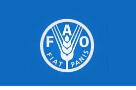 Aparicion de la FAO