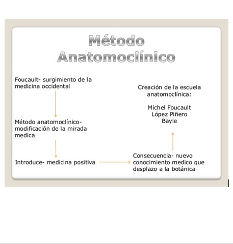 Modelo anatomo-clínico