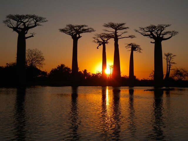 The diplomatic mission of Twiga in Pundamilia