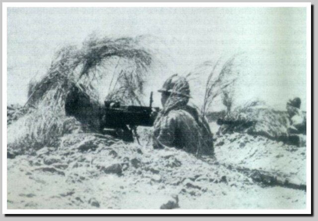 Batalla de Brunete (5-25 julio)