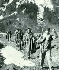 Maquis Valle de Arán