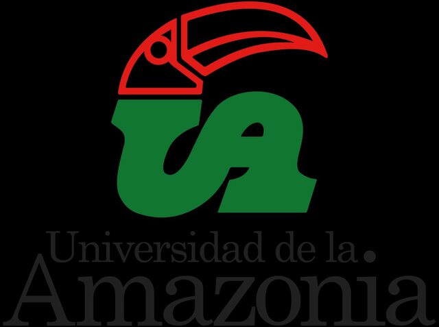 Estudios universitarios