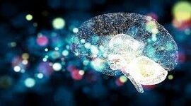 Timeline: HISTORIA DE LA NEUROCIENCIA