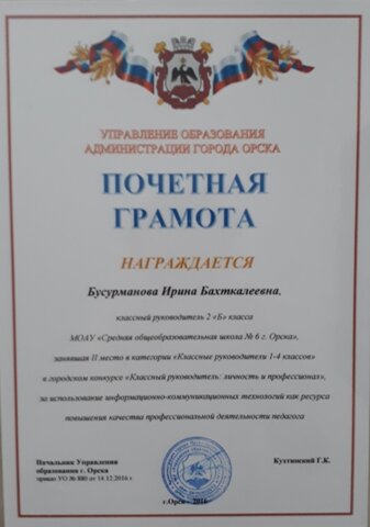 Профессиональная деятельность.