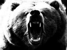 Elisha and the She-bears