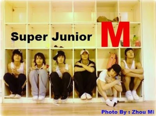 Member of SJ-M
