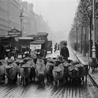 Timeline: Timeline with Attitude