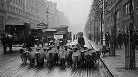 Timeline: Timeline with Attitude