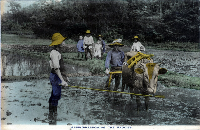 Agricultural land surveys leading to better farming and land tax