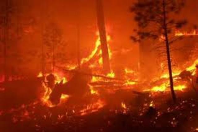 The Dawn of The Great Rebirth