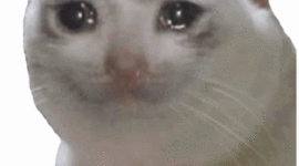 Timeline: SCHOOL ASSIGNMENT