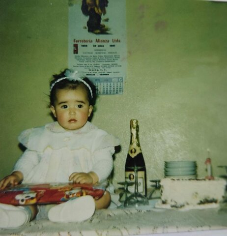 Mi primer Año