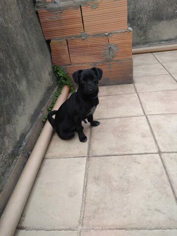 Llega a mi vida el amor