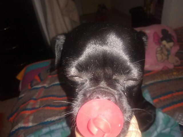 Porque es lo más lindo de mi vida