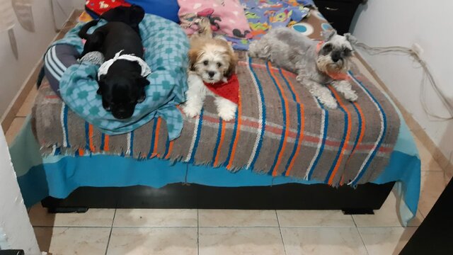 Mi trio hermoso