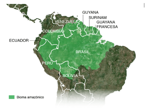 Destrucción del amazonas