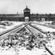 1315209 auschwitz birkenau