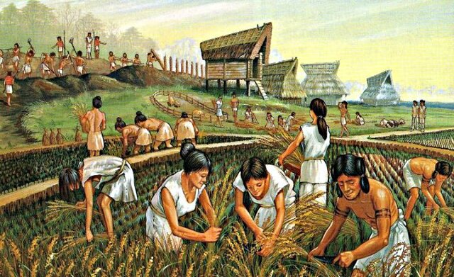 Aparicion de la agricultura