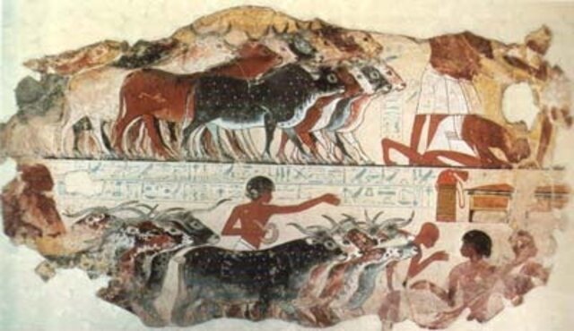 Civilización egipcia