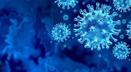 Timeline: La Historia del COVID 19 en México.