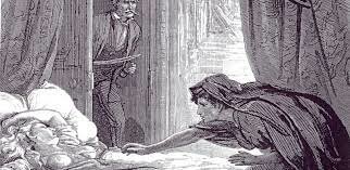 Extraño nido de amor