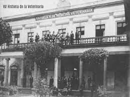 La profesión Veterinaria en América
