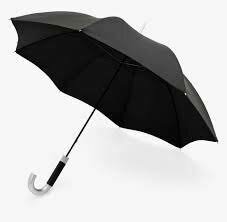 Steel ribbed kind umbrella