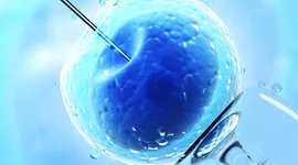 Timeline: CLONACIÓN