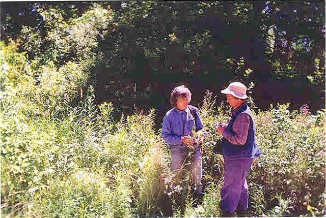 First Botanical and Wildlife Inventory