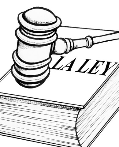 Articulo 218 de 1978