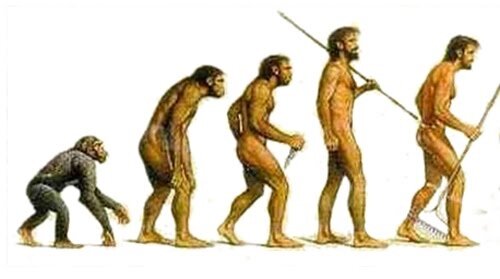 Teoría de la evolución Charles Darwin