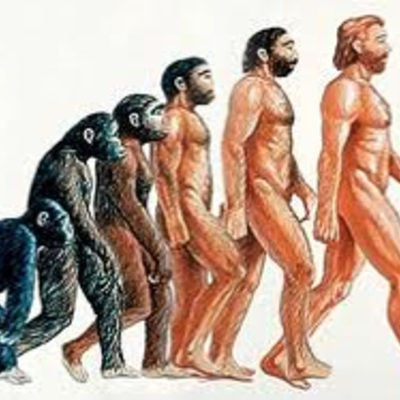 Timeline: Eventos que marcaron el desarrollo del hombre