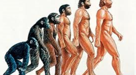 Timeline: Eventos que marcaron el desarrollo del hombre