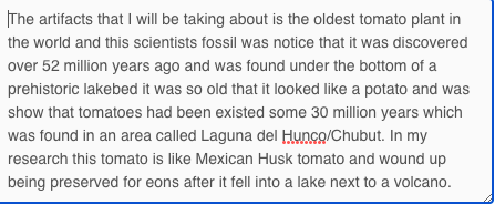 The First Tomato plant