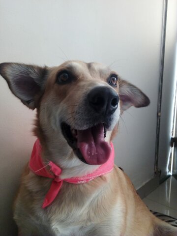 Rescate de mi bebé: Eimy Lulú