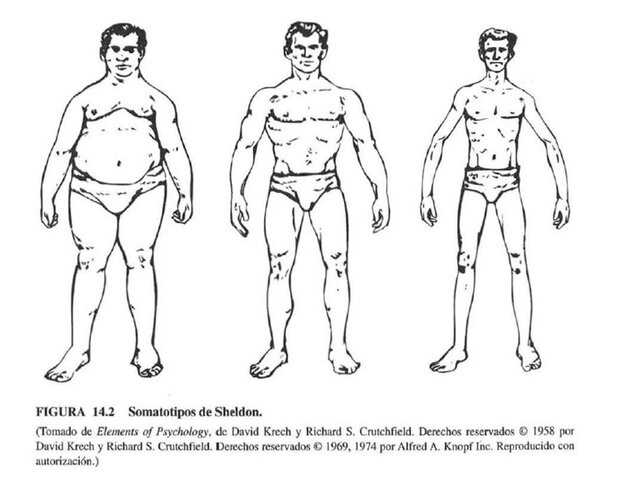 Sheldon, Stevens & Tuker