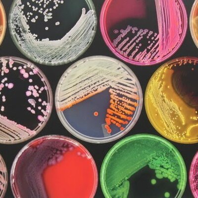 Timeline: Historia de los conceptos de causa y enfermedad: paralelismo entre la Medicina y la Fitopatolog